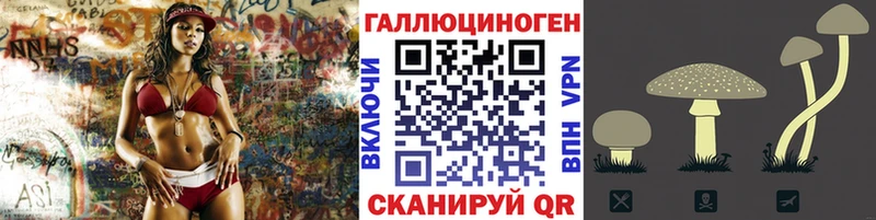 Псилоцибиновые грибы Magic Shrooms  как найти закладки  Ессентуки 