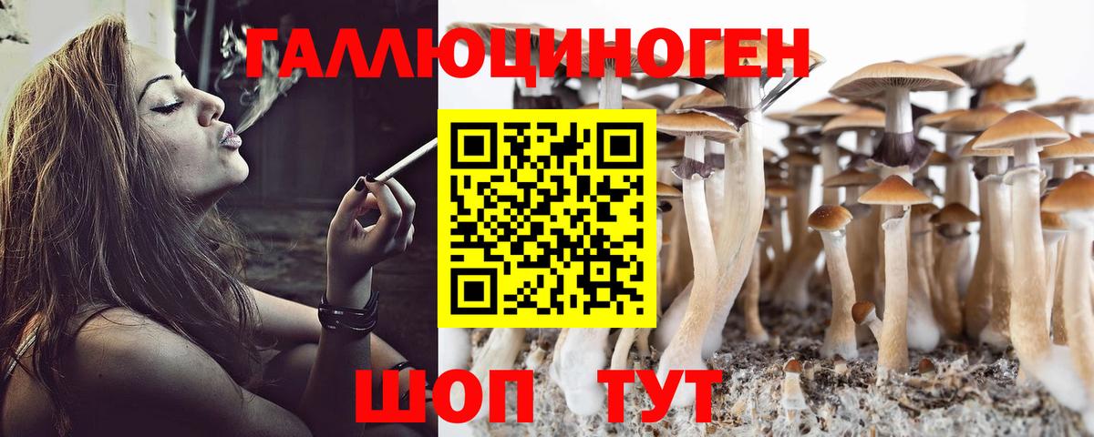 Псилоцибиновые грибы MAGIC MUSHROOMS  Ессентуки 