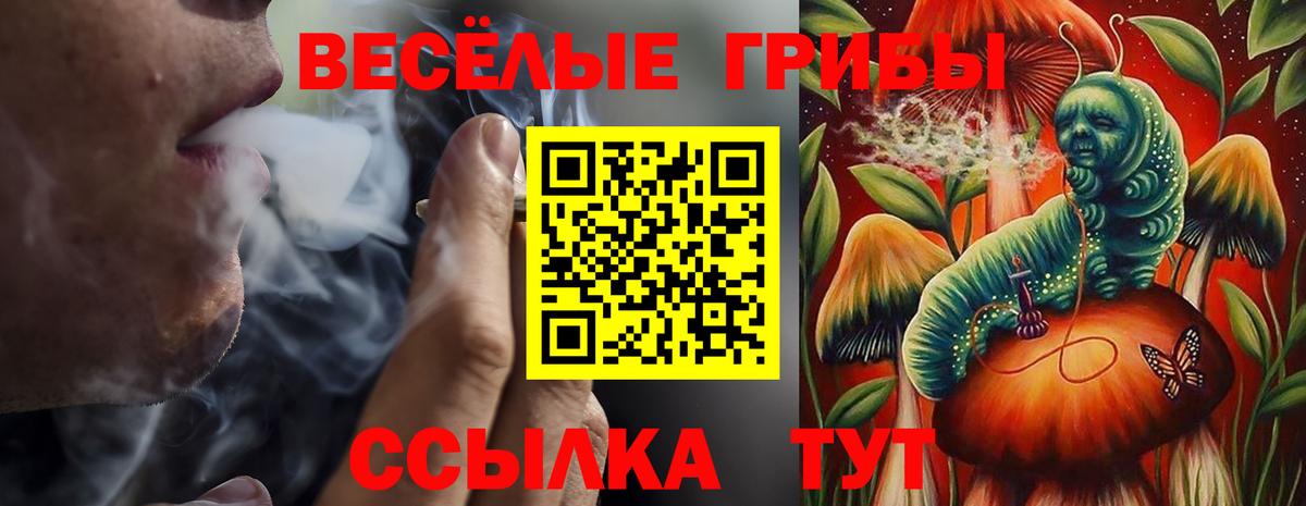 Псилоцибиновые грибы прущие грибы Ессентуки
